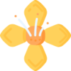 开云体育 logo