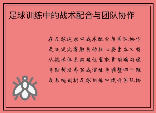 足球训练中的战术配合与团队协作